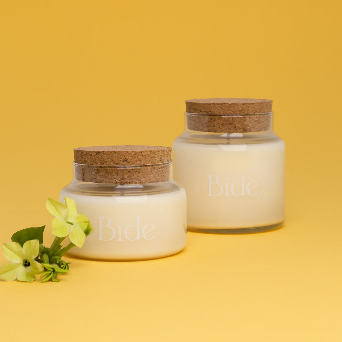 Tobacco Flower & Tonka Bean