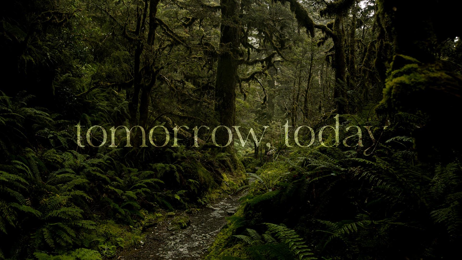 Dark green forest scene with path through the middle, text overlaid on image that says tomorrow, today